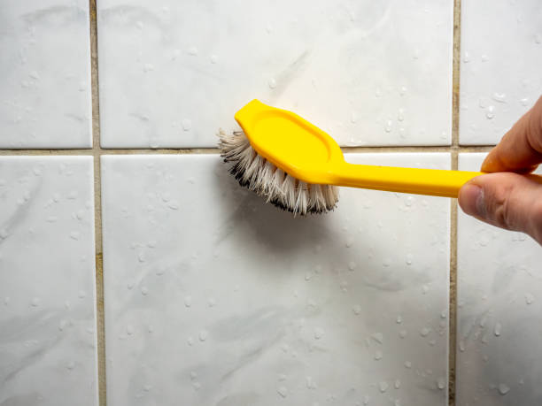 Best Residential Mold Removal  in Dixon Lane Meadow Creek, CA